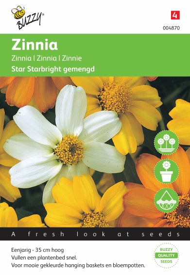 Zinnia Starbright Mix - 20 seeds
